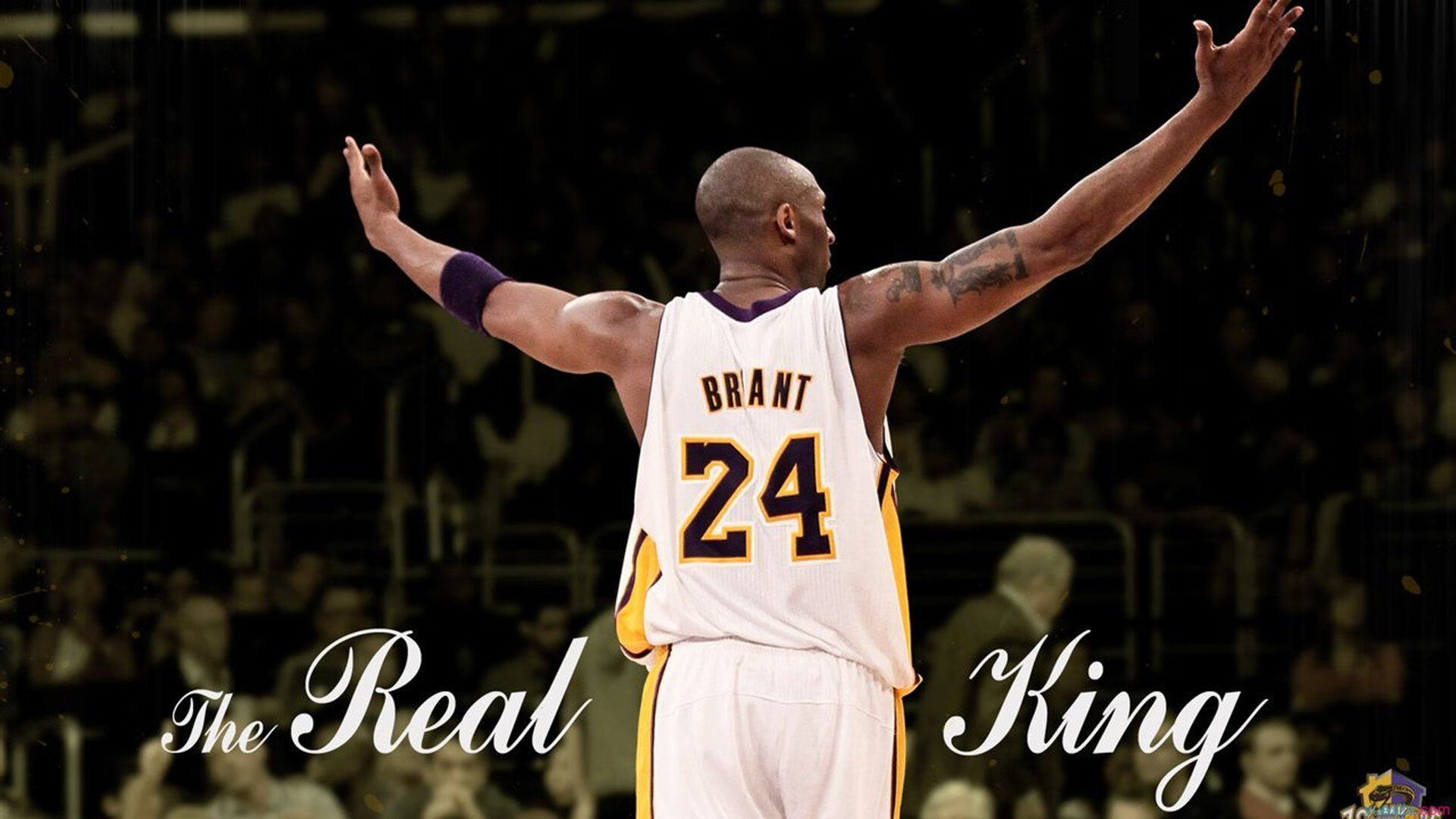 开云体育APP下载-美加墨世界杯之夜，布克防守端锁死对手，诠释现代篮球的全面价值  第2张